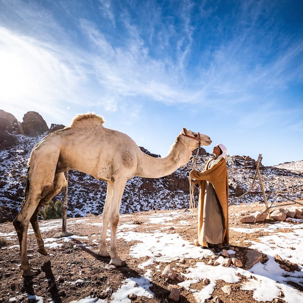 Tabuk — Saudi Arabia, Middle East