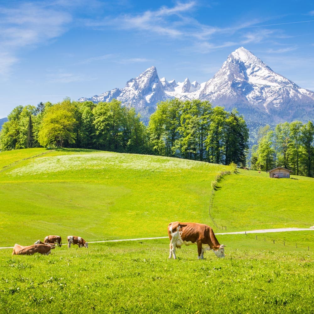 Bavarian Alps — Germany, Western Europe