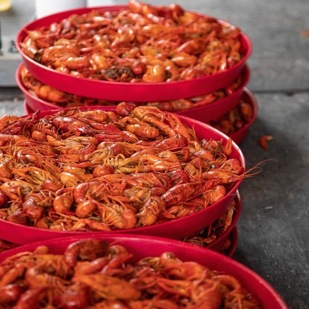 Breaux Bridge Crawfish Festival — Louisiana, United States, North America