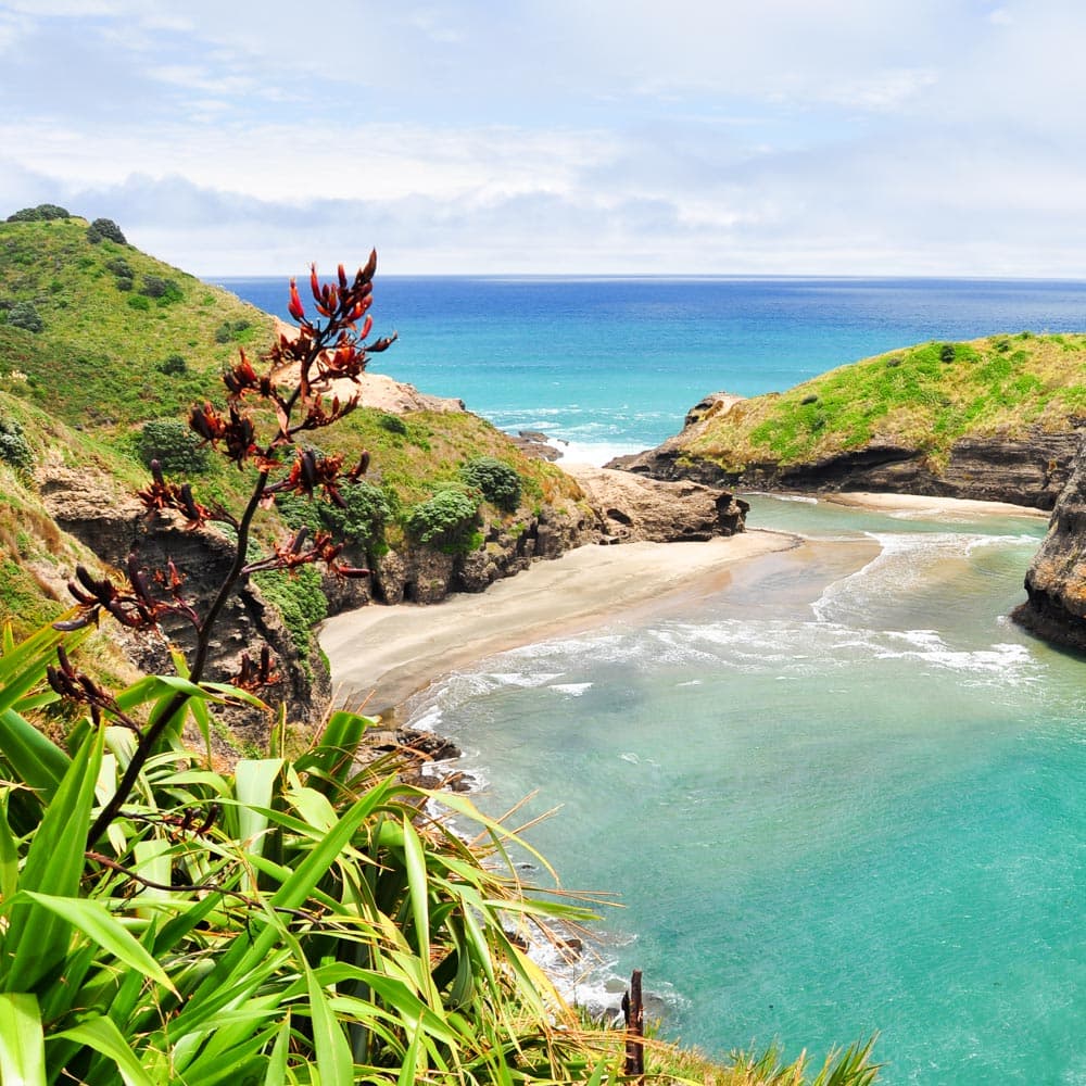 Piha Beach — North Island, New Zealand, Oceania