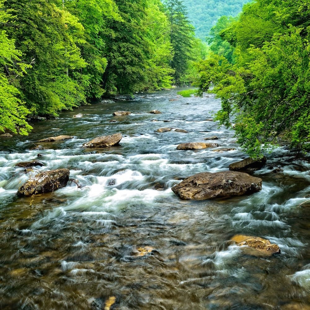 Cranberry River — West Virginia, United States, North America