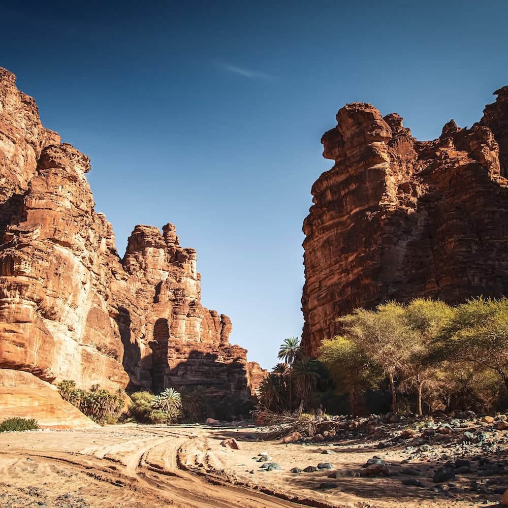 Wadi al Disah — Saudi Arabia, Middle East