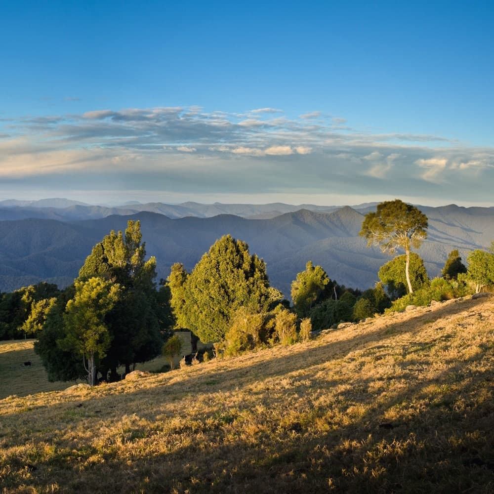 Griffiths Lookout — Bellingen, New South Wales, Australia, Oceania