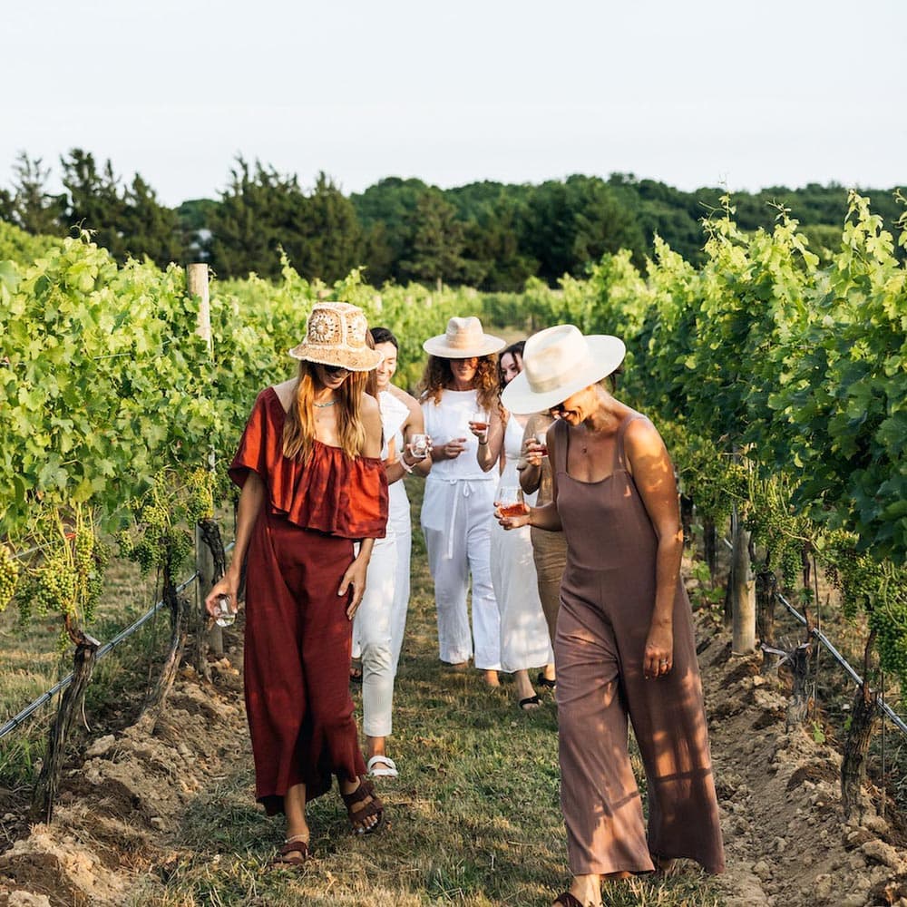 Croteaux Vineyards — Long Island, New York, United States, North America