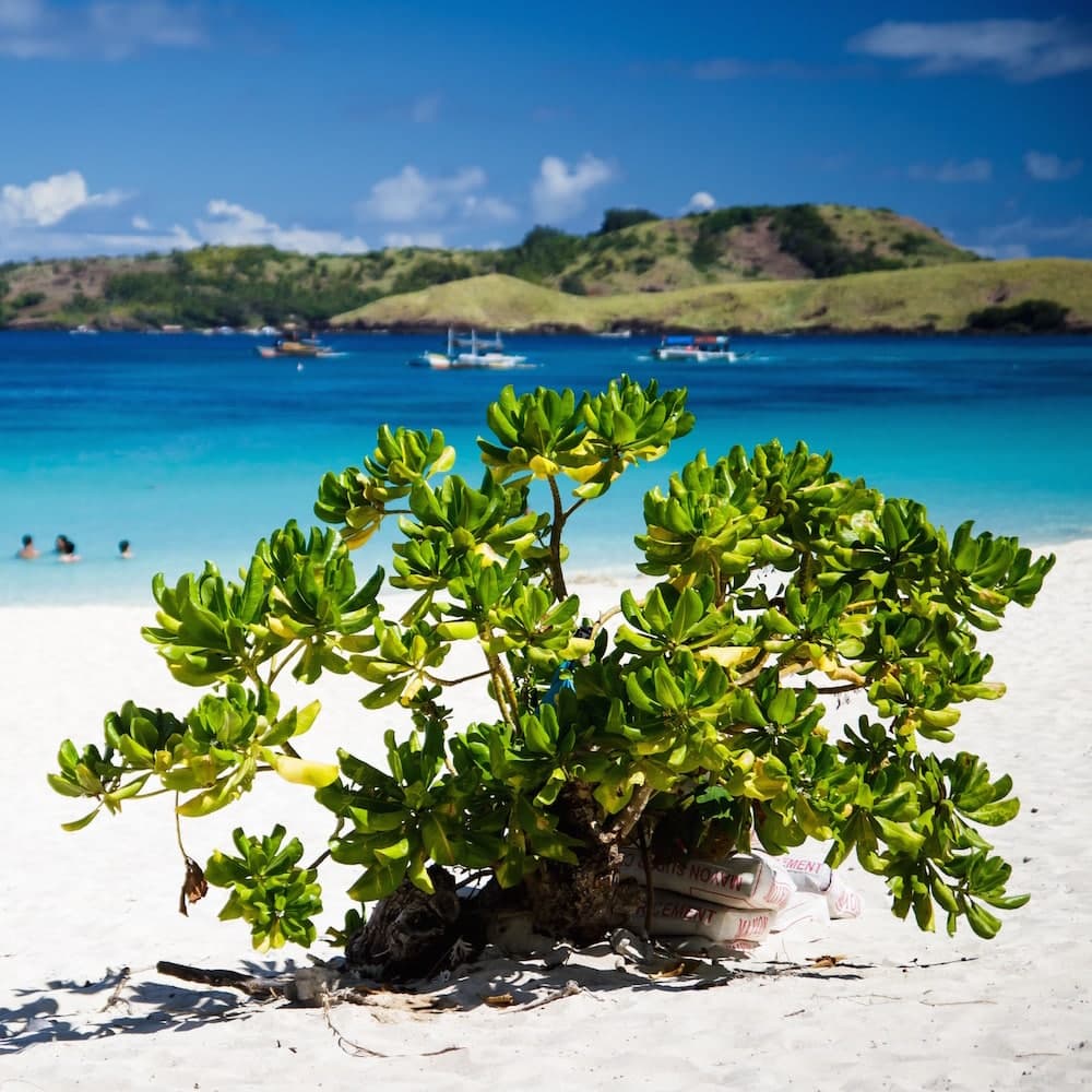 Calaguas — Philippines, Asia