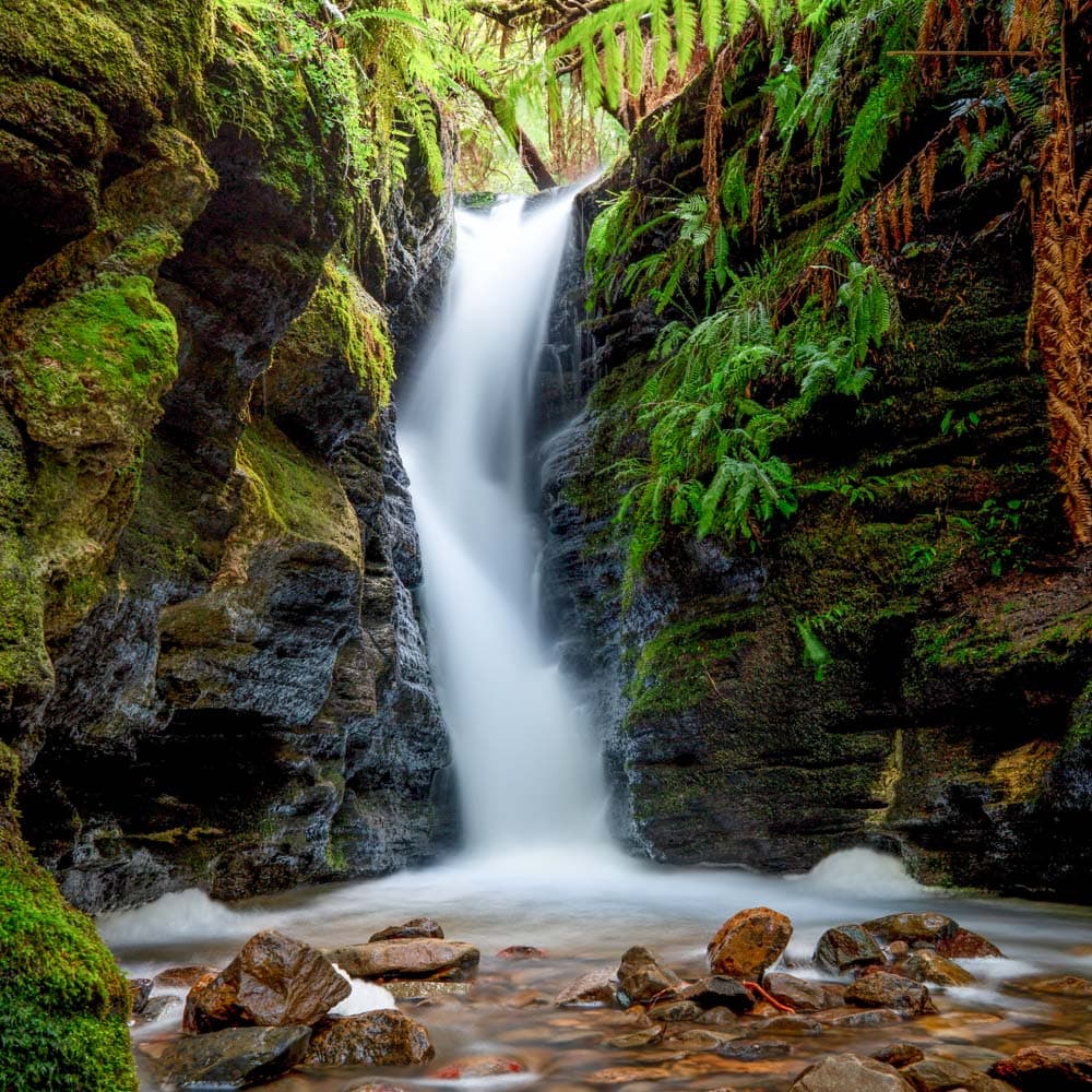 Secret Falls — Tasmania, Australia, Oceania