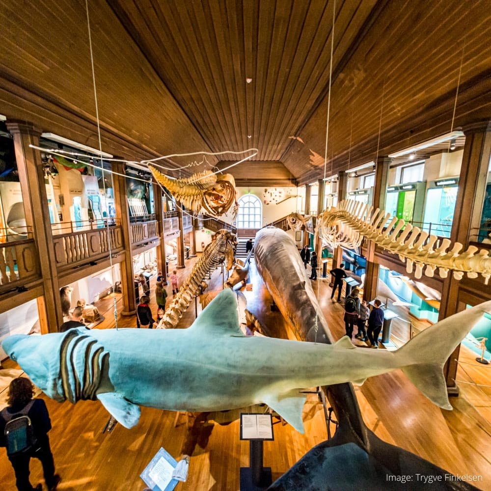 Gothenburg Natural History Museum — Sweden, Scandinavia