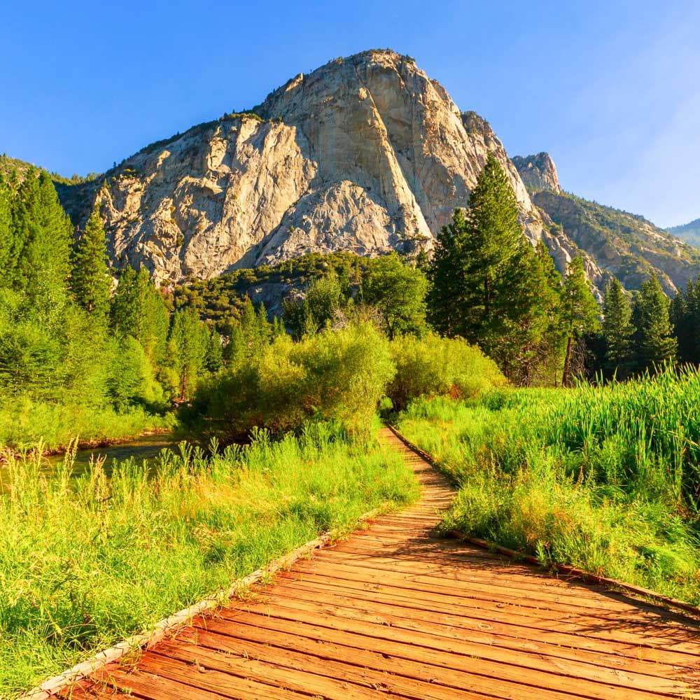 Kings Canyon National Park — California, United States, North America