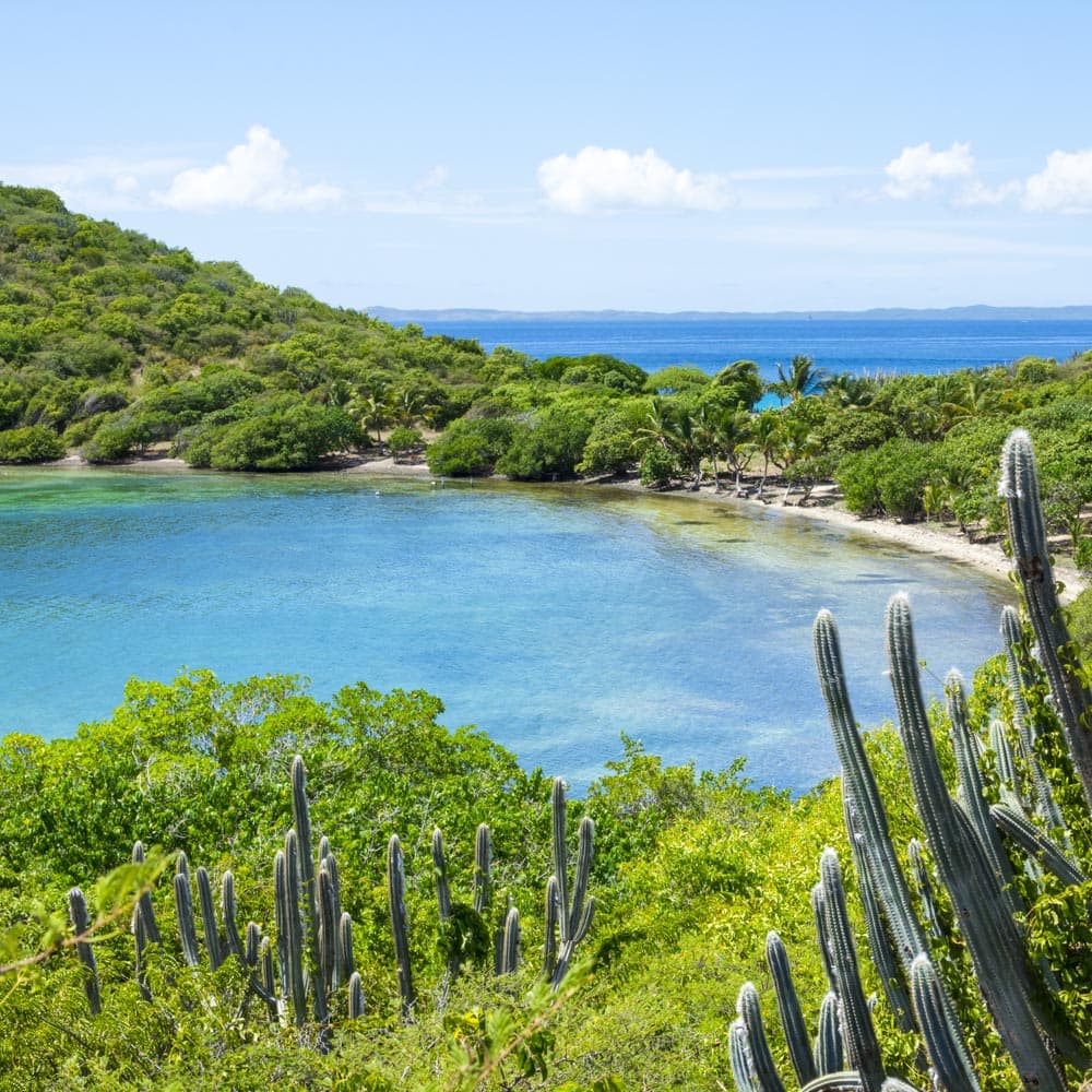 Malena Bay — Puerto Rico, Caribbean