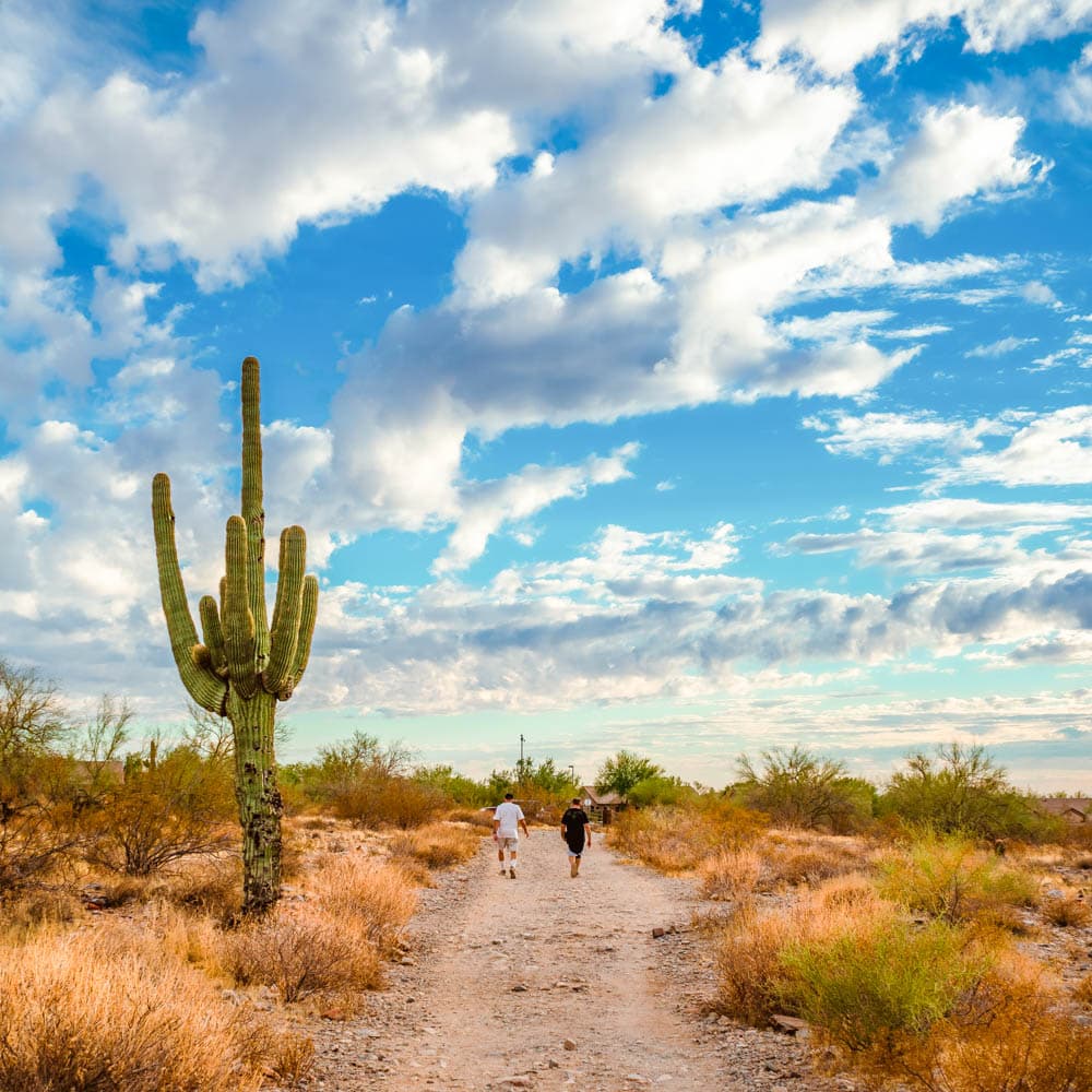 McDowell Sonoran Preserve — Scottsdale, Arizona, United States, North America