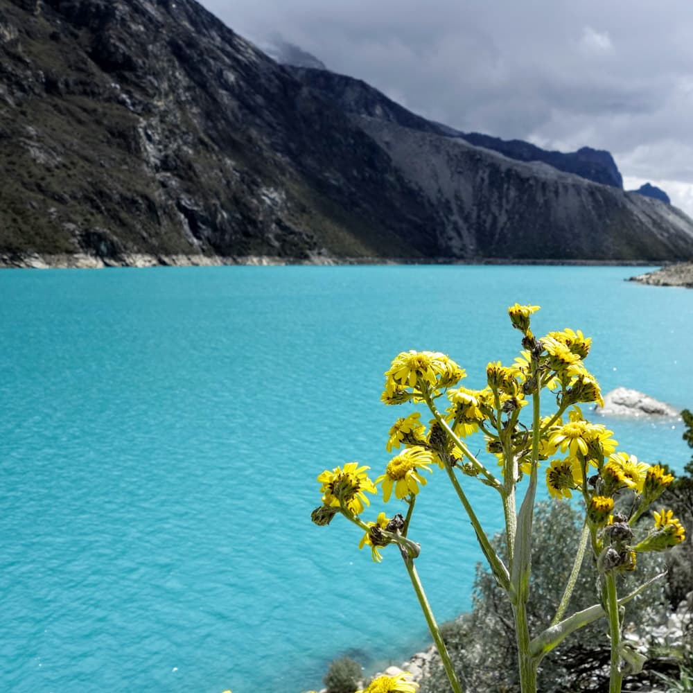 Laguna Paron — Peru, South America