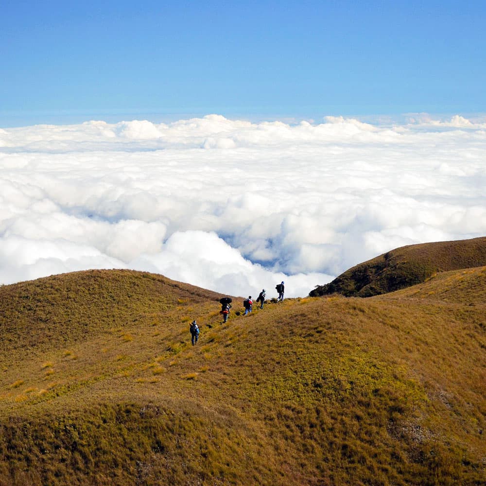 Mount Pulag — Philippines, Asia