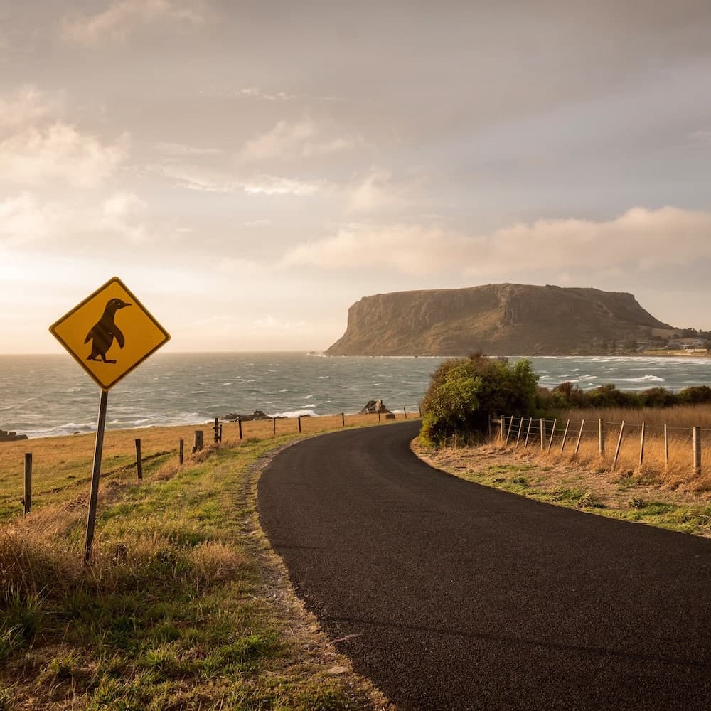 The Nut — Tasmania, Australia, Oceania