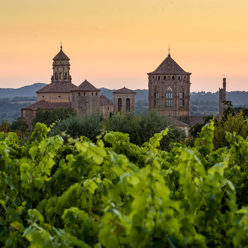 Vimbodí i Poblet — Catalonia, Spain, Western Europe