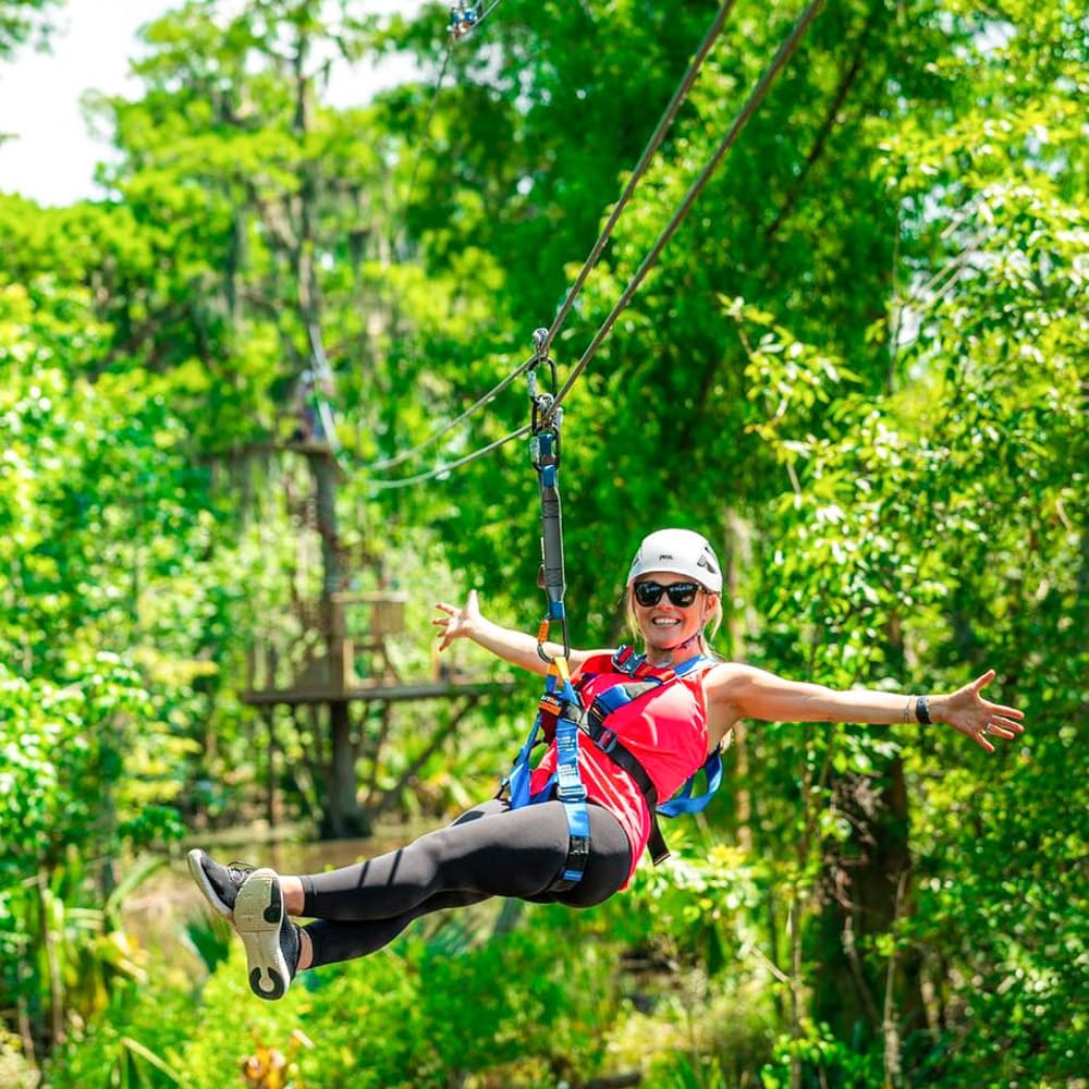 Zip NOLA — New Orleans, Louisiana, United States, North America