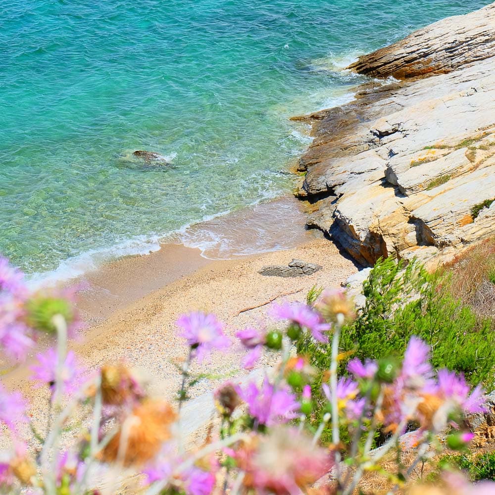 Porquerolles — France, Western Europe