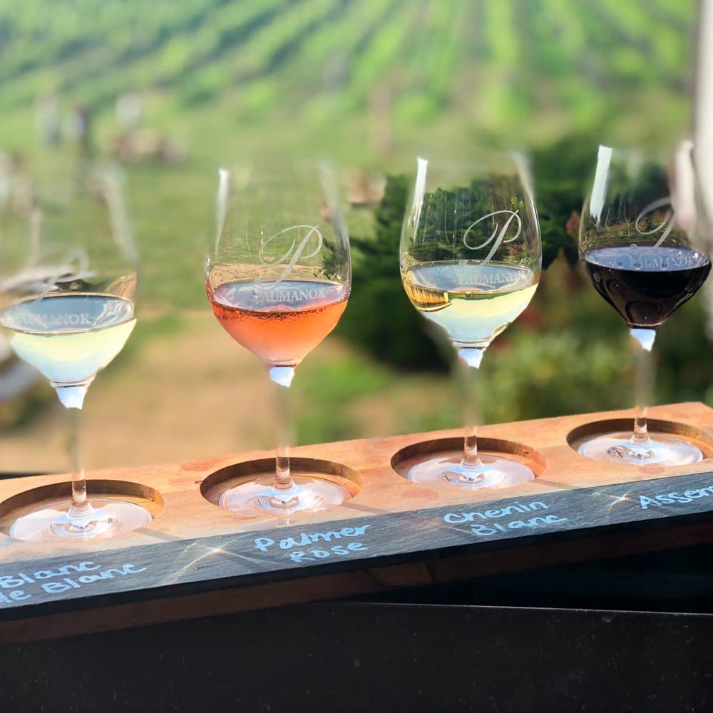 Paumanok Vineyards — Long Island, New York, United States, North America