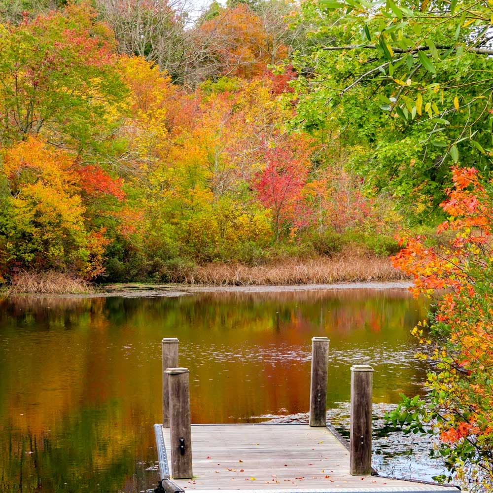 Peconic River — Long Island, New York, United States, North America