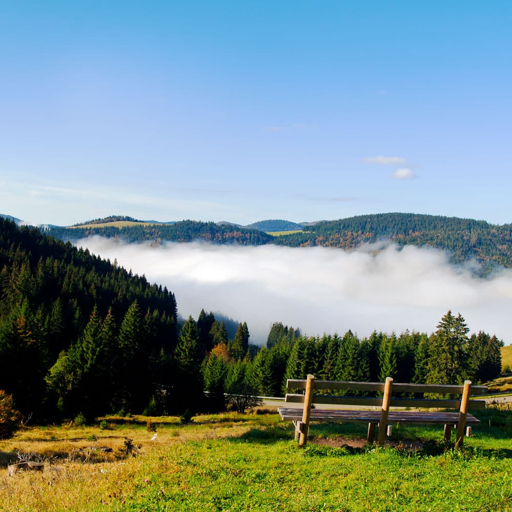 Black Forest — Germany, Western Europe