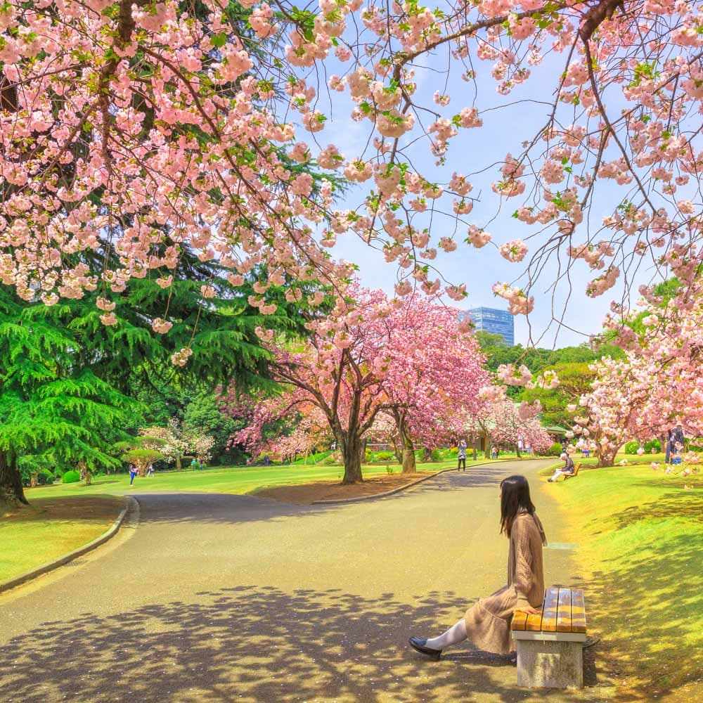 Shinjuku Gyoen National Garden — Tokyo, Japan, Asia