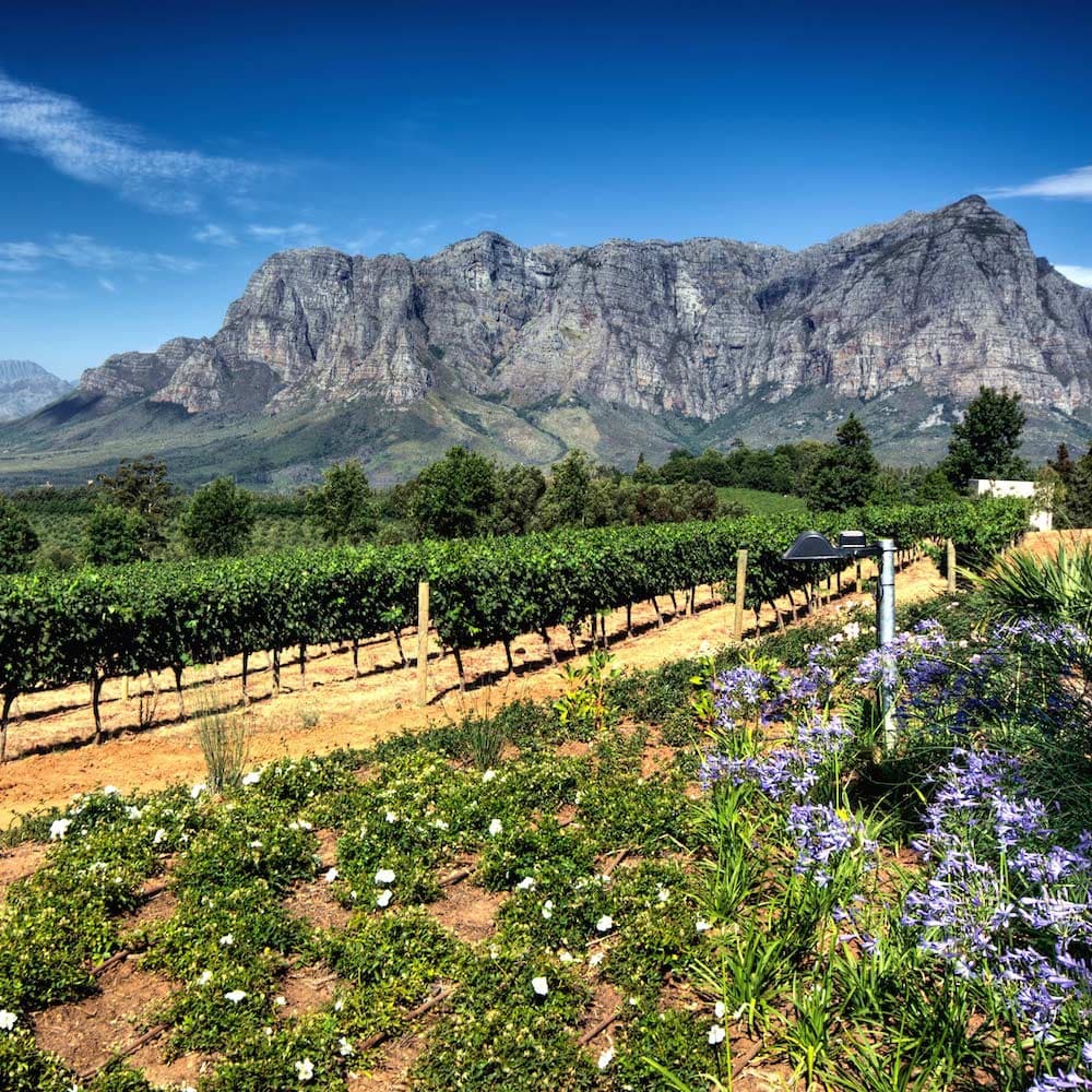 Stellenbosch Wineries — South Africa, Africa