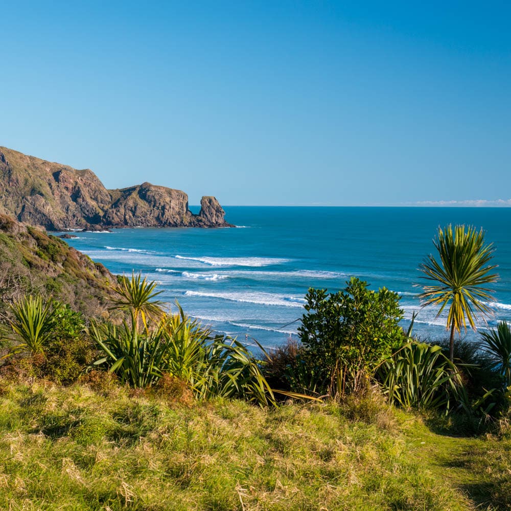 Bethells Beach — Auckland, North Island, New Zealand, Oceania