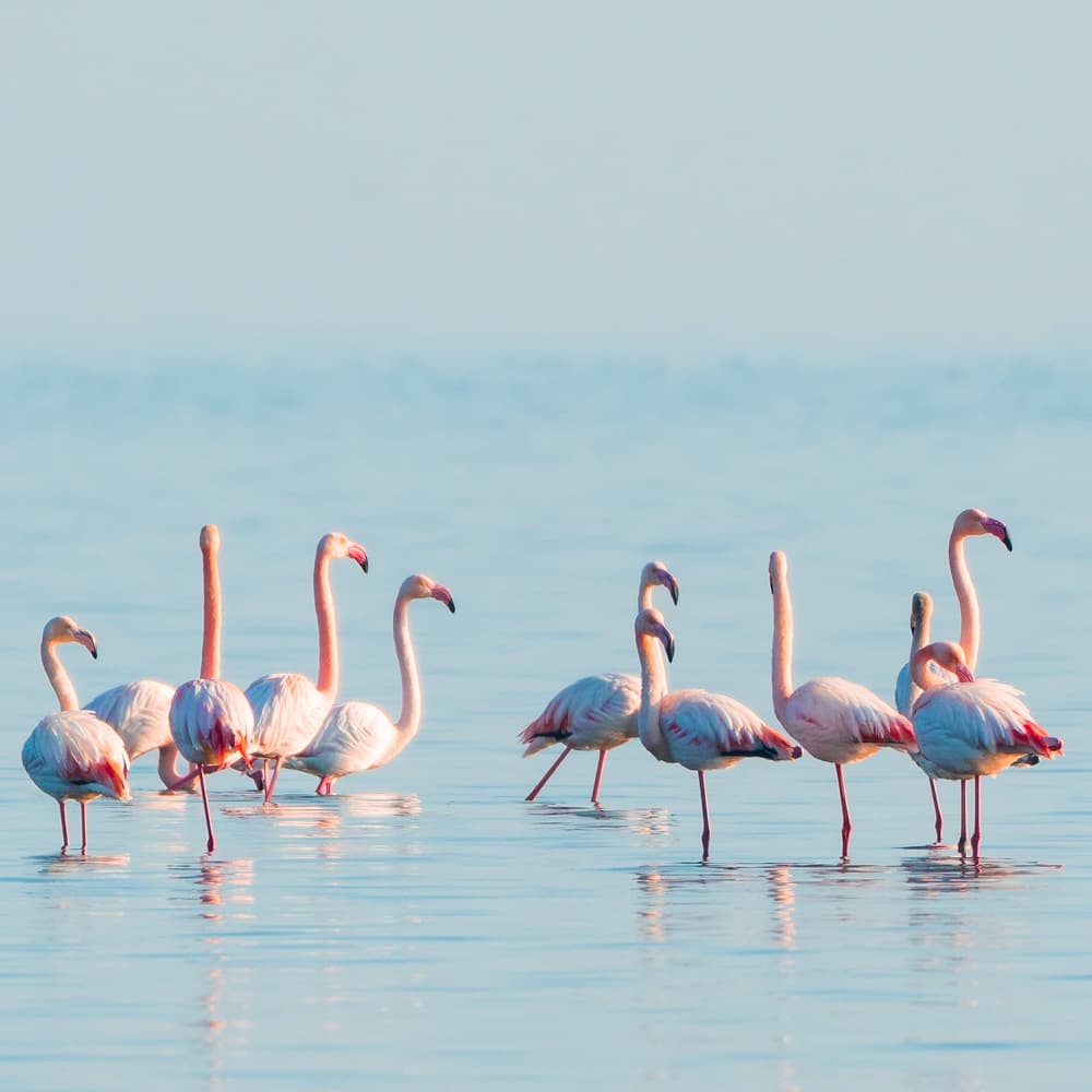 Absheron National Park — Azerbaijan, Eastern Europe
