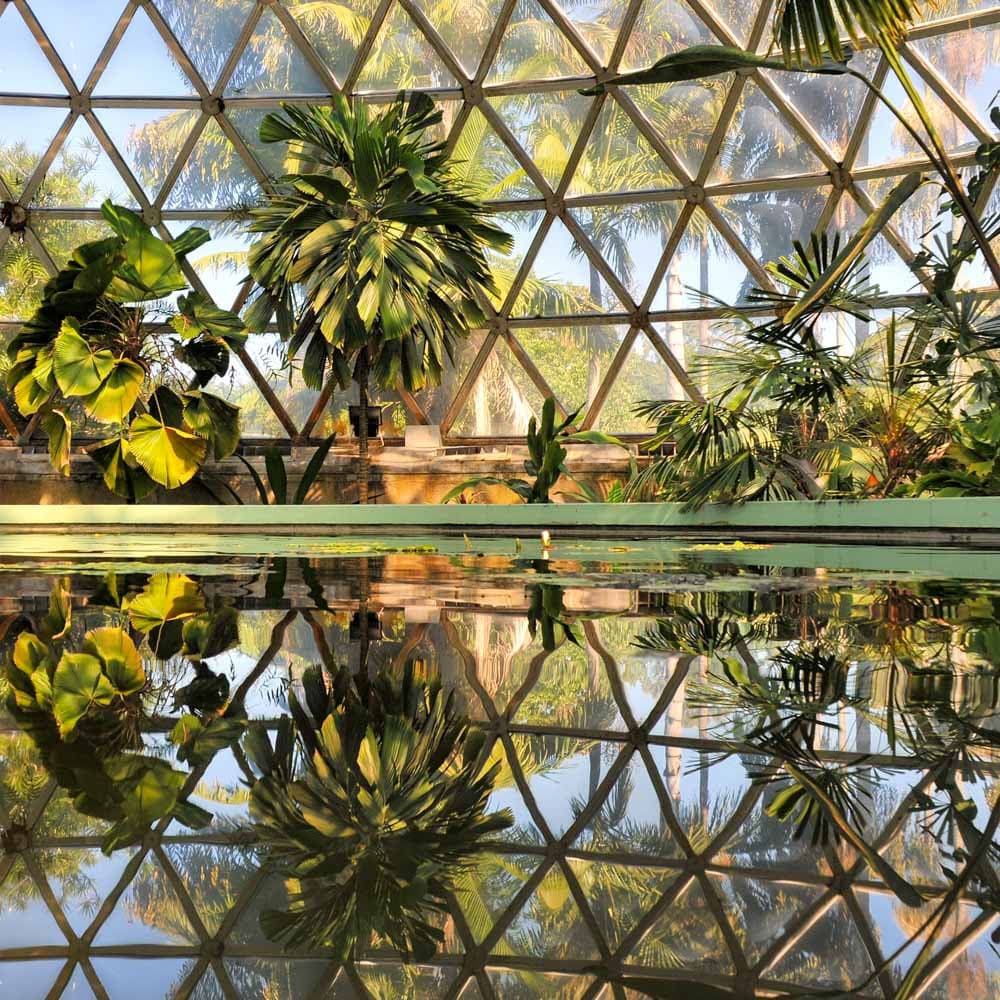 Brisbane Botanic Gardens — Brisbane, Queensland, Australia, Oceania