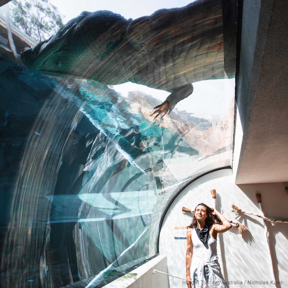 Crocosaurus Cove — The NT, Australia, Oceania