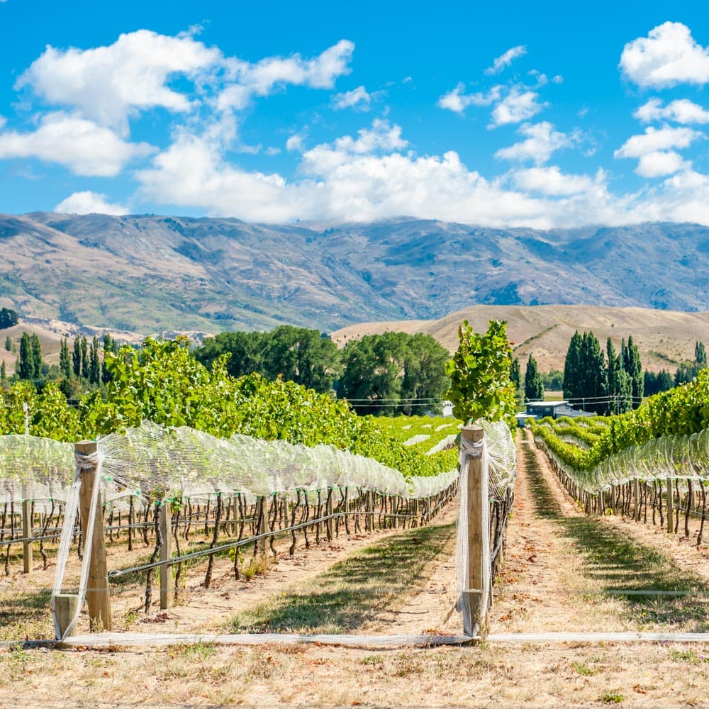 Gibbston Valley — New Zealand, Oceania