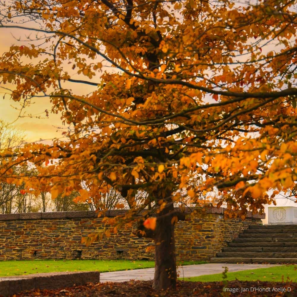 The Memorial at Hill 62 — Flanders, Belgium, Western Europe