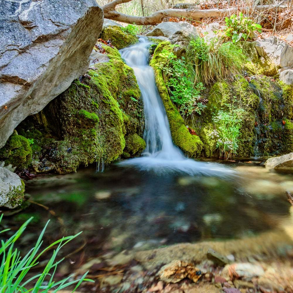 Ramsey Canyon Preserve — Southern Arizona, Arizona, United States, North America